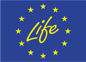 LIFE flag