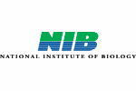 Logotip NIB- angleški