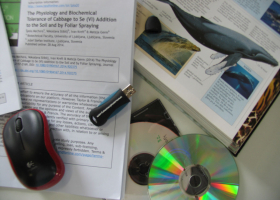  An extensive part of our work is the collection and distribution of information. (photo: L. Glavač) 