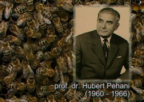 Prof. dr. Hubert Pehani (foto: Arhiv NIB) 