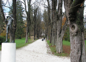 Habitat study of hermit beatle (Osmoderma eremita). (Photo: Andrej Kapla)  Habitat study of hermit beatle (Osmoderma eremita). (Photo: Andrej Kapla)