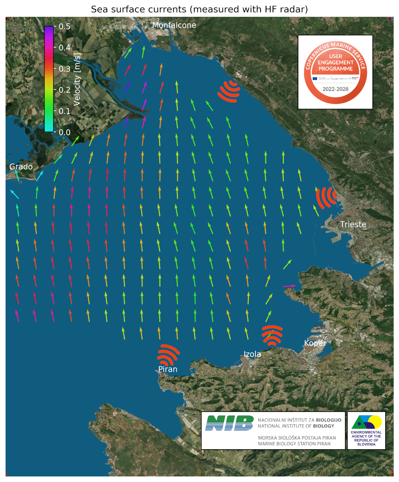 observed sea surface currents