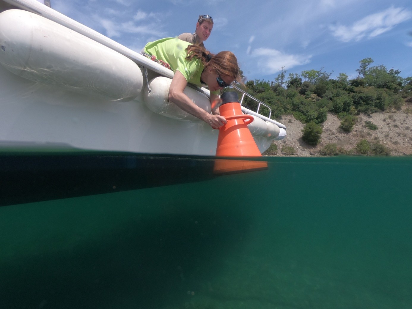 Meritev morskih gozdickov.