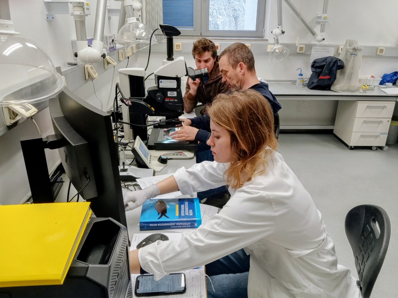 Determinacija glavačev v mikroskopirnici Morske biološke postaje.