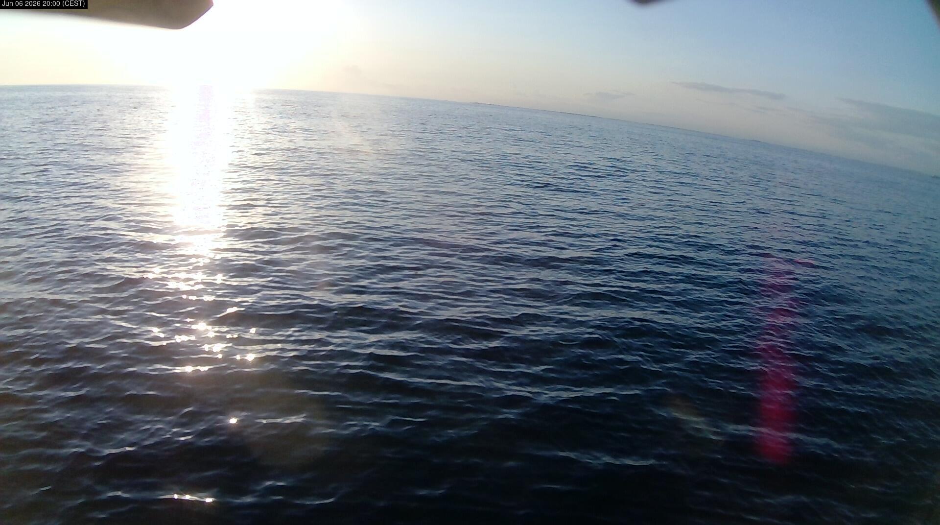 Cam 1