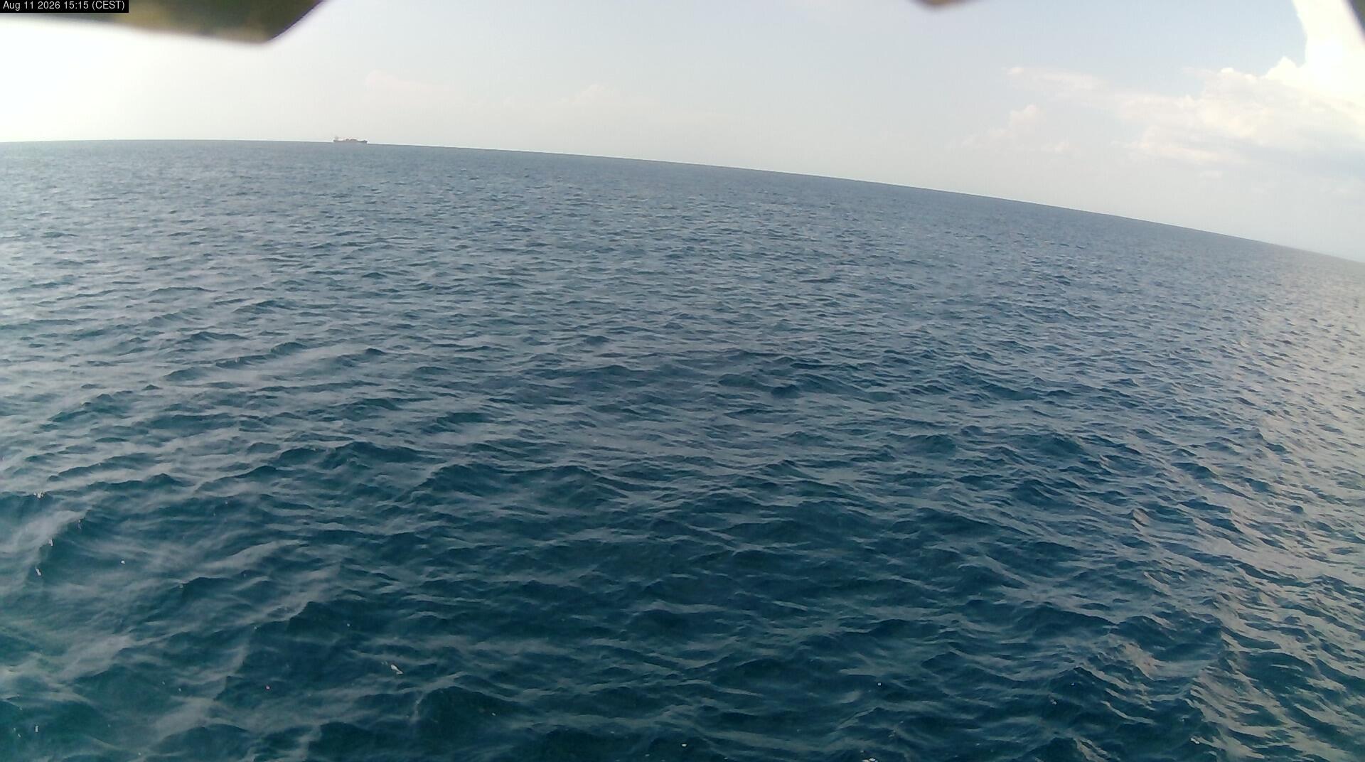 Cam 1