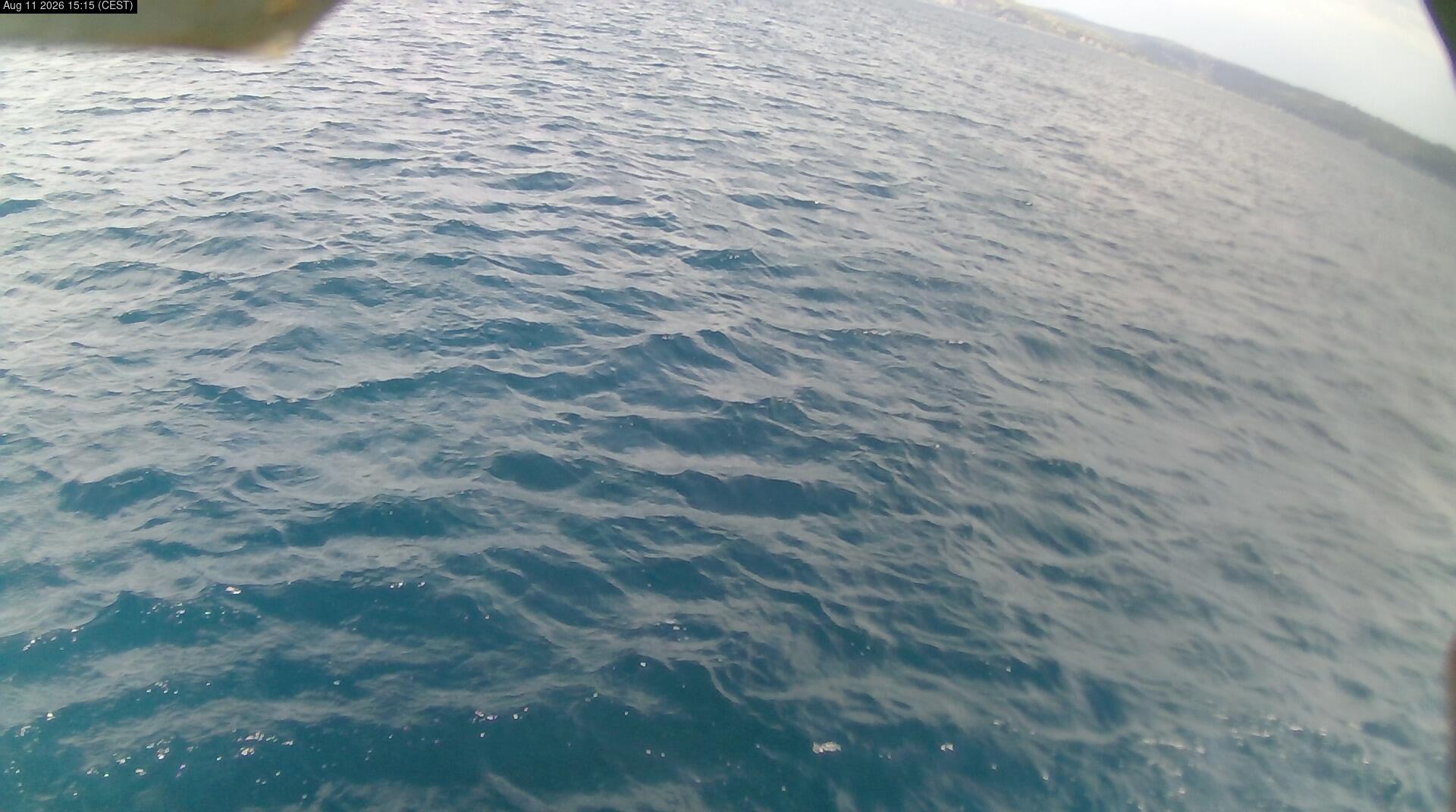 Cam 2