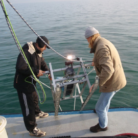Prototype of videosladges developed for monitoring and evaluation of the status of the habitat types in the circalittoral belt.