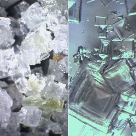 Salt crystals