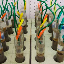 Microcosm laboratory experiments (sediment cores) with meiofauna